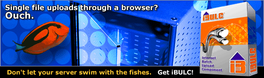 Batch File Uploading Software